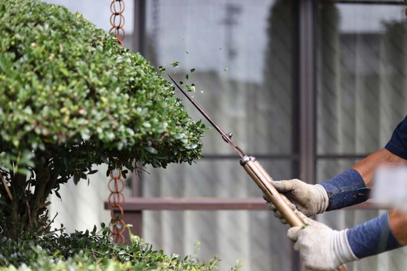 草刈り・庭木の剪定